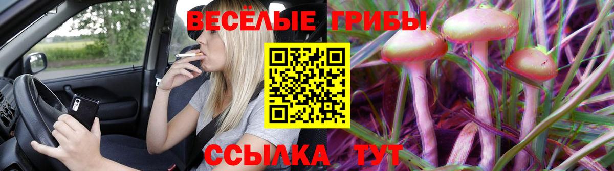 Псилоцибиновые грибы прущие грибы  Вход с VPN  Псилоцибиновые грибы мухоморы  Воскресенск 